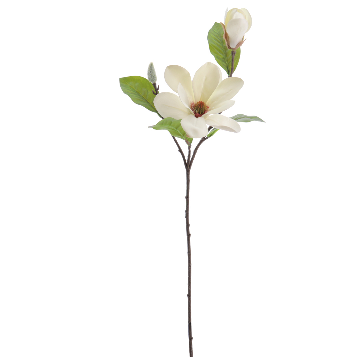 MAGNOLIA 64CM CREMA