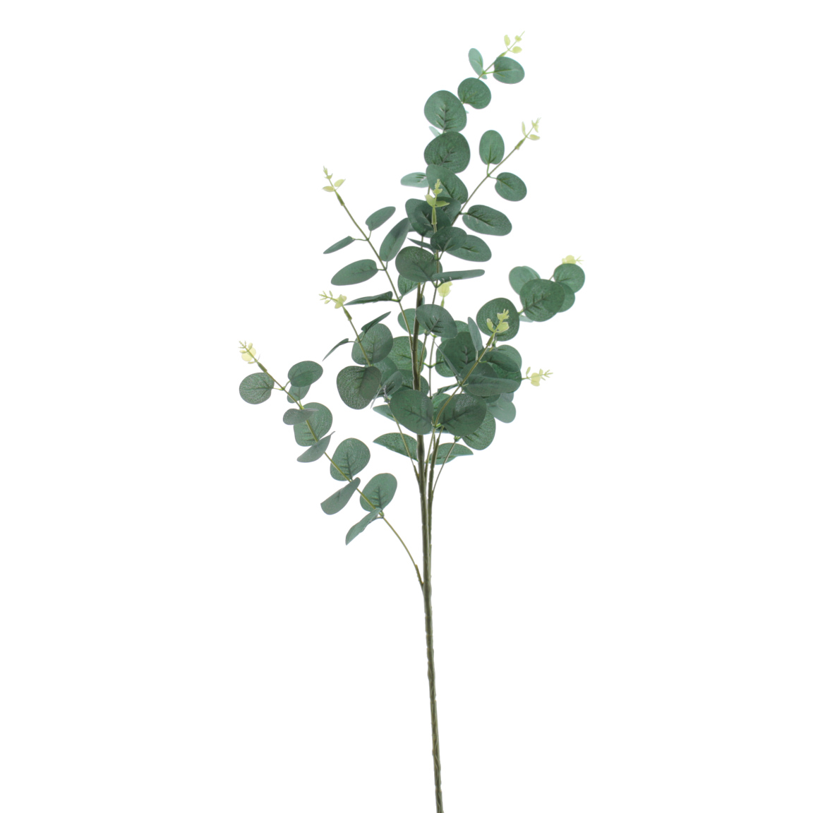 EUCALYPTUS VERDE OSCURO