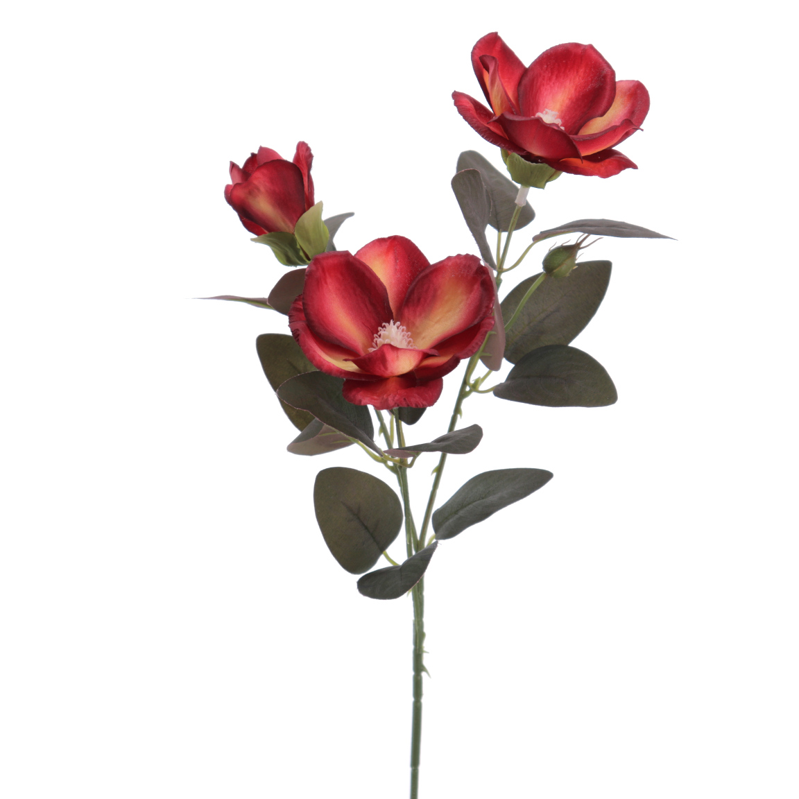 MAGNOLIA X3 ROJO ENCARNADO 70CM