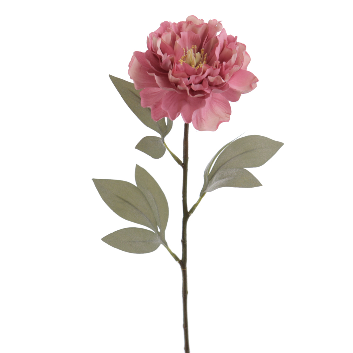PEONIA 58CM FUCSIA