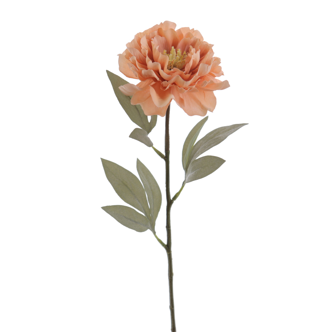 PEONIA 58CM SIENA