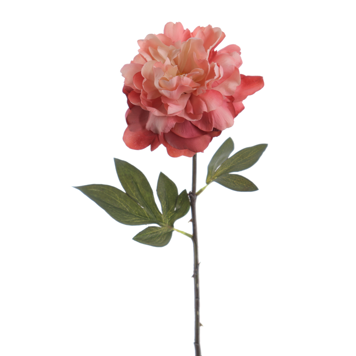 PEONIA VINTAGE CORAL 58CM