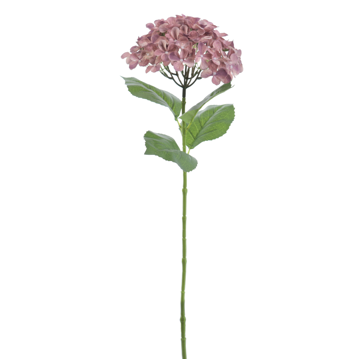 HYDRANGEA 68CM MALVA