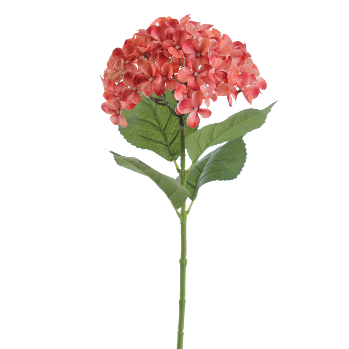 HYDRANGEA 68CM CORAL