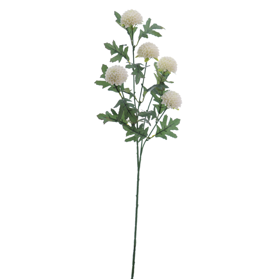 DAHLIA MINI CREMA