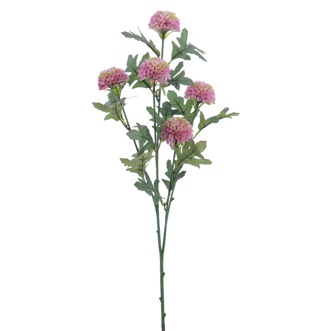 DAHLIA MINI MALVA