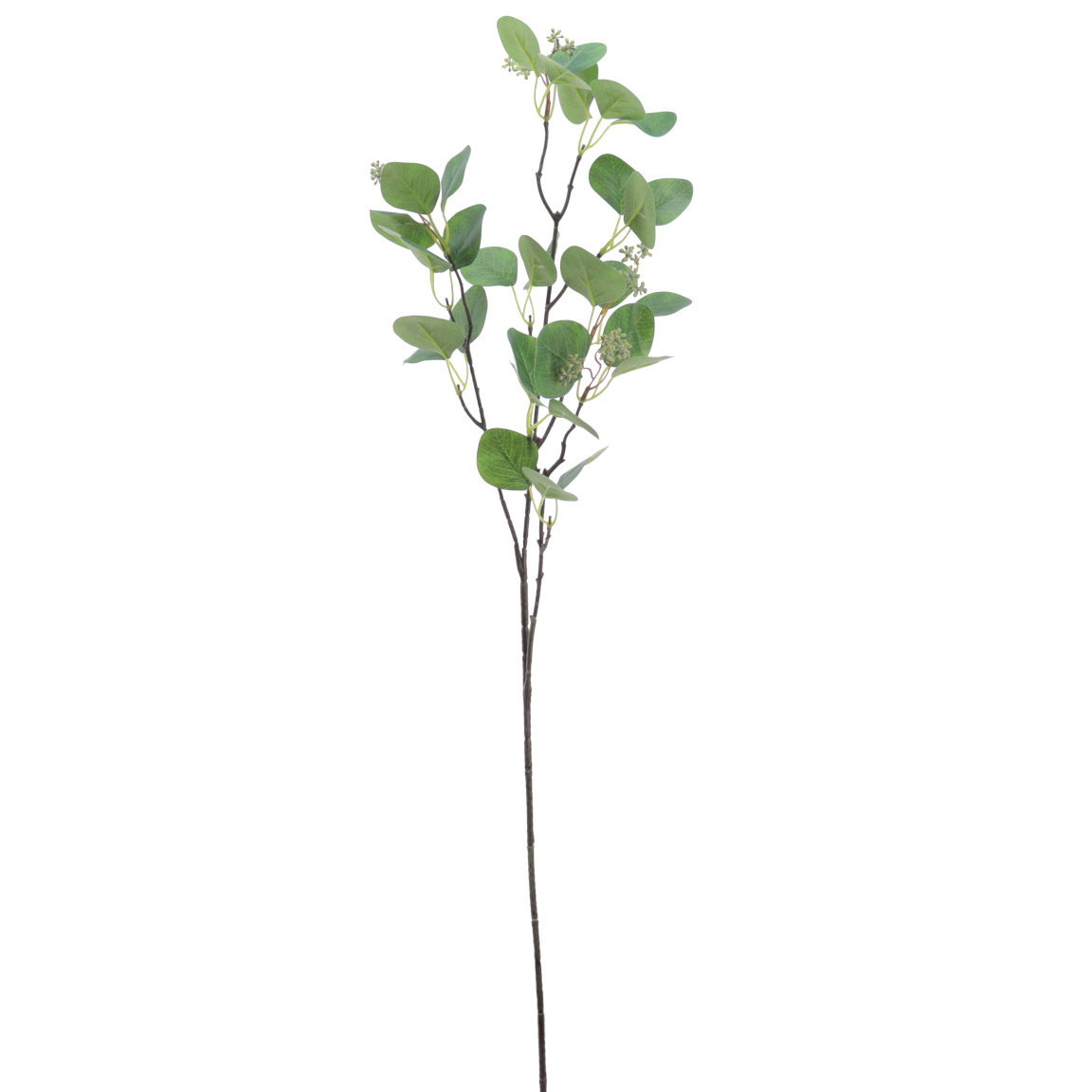 EUCALYPTUS VERDE 86CM