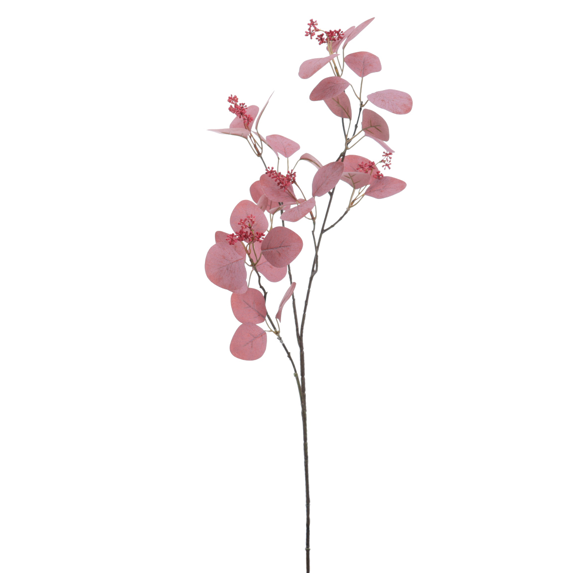 EUCALYPTUS BURDEOS 86CM