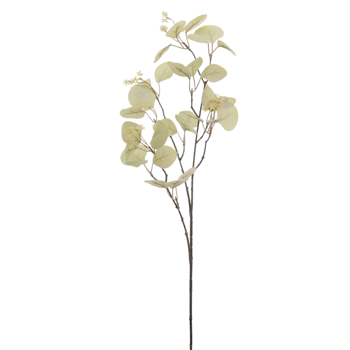 EUCALYPTUS VERDE 86CM