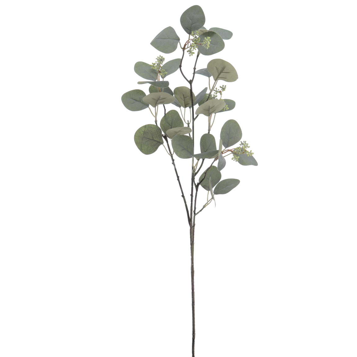 EUCALYPTUS VERDE 86CM