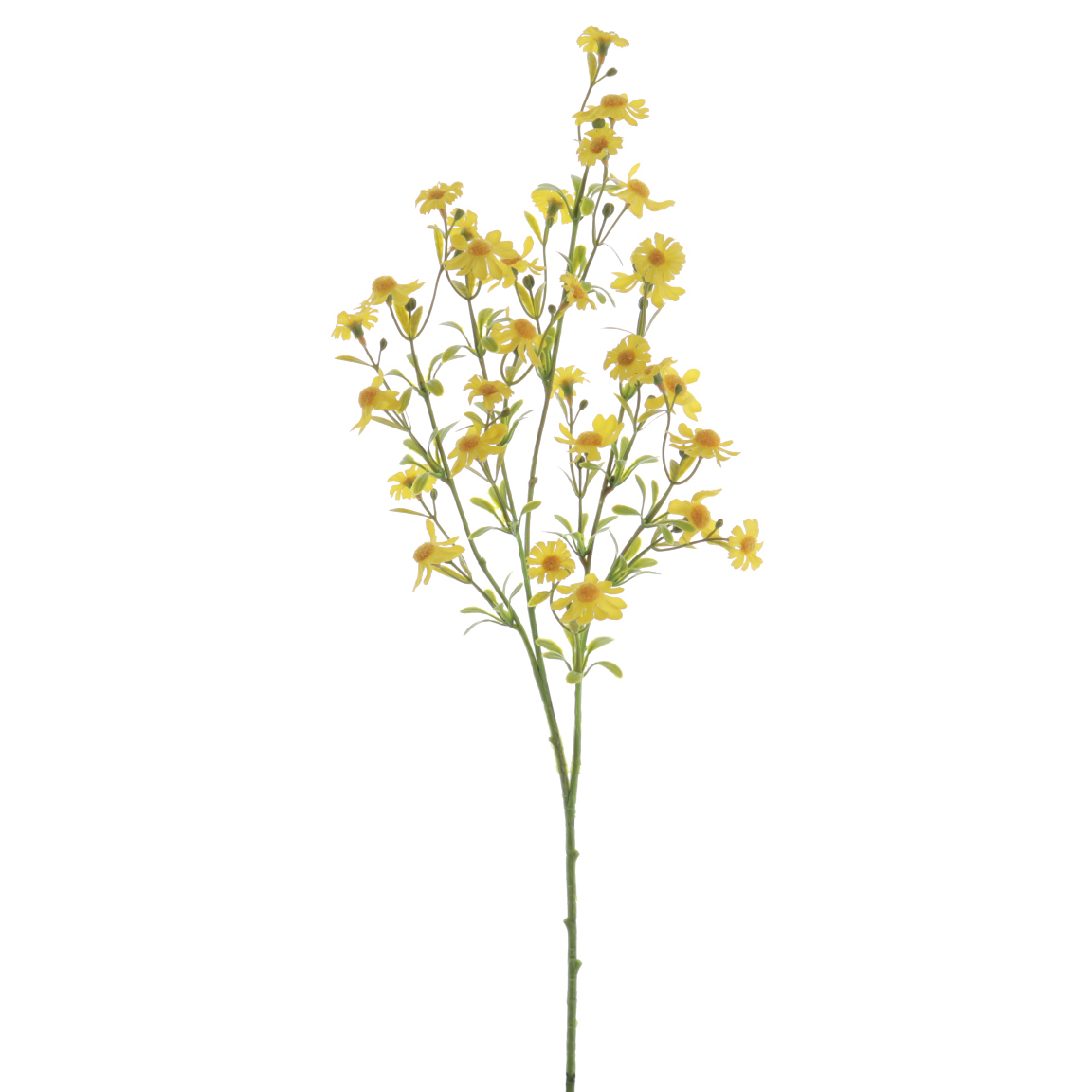 MARGARITA MINI 68CM AMARILLO