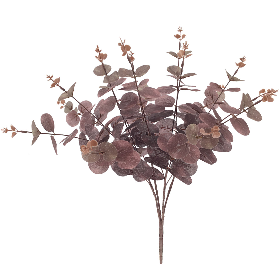 RAMO EUCALYPTUS BURDEOS