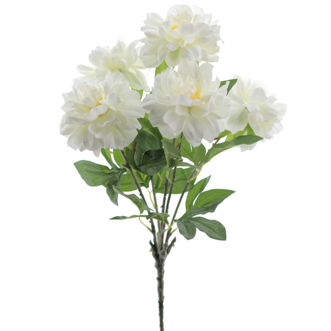 RAMO PEONIAS X 5 CREMA
