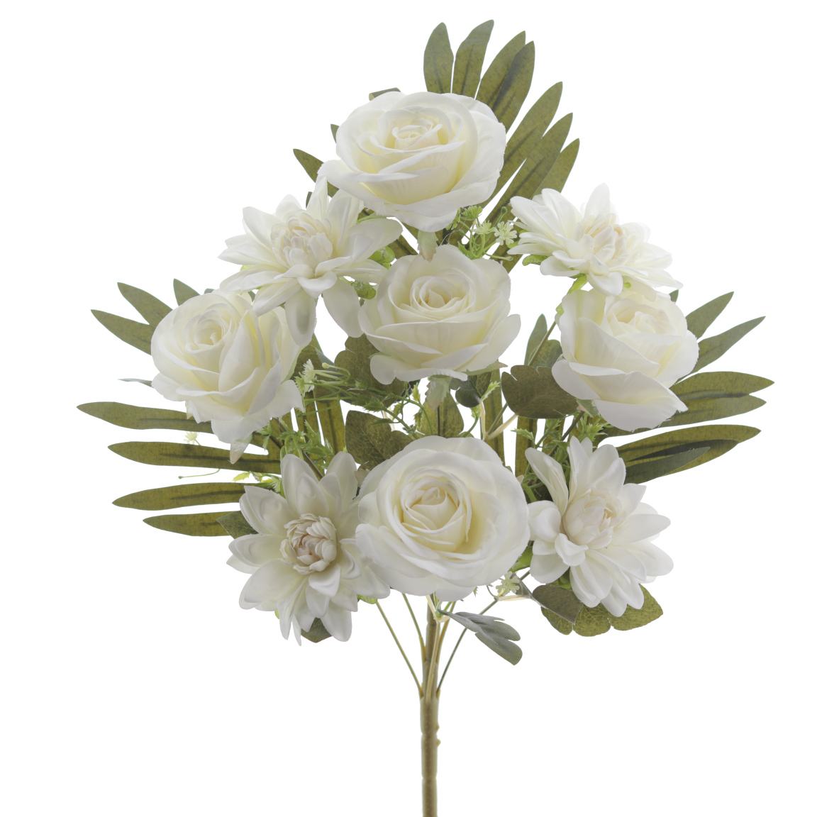 PALMA ROSAS DAHLIAS x 9 CREMA
