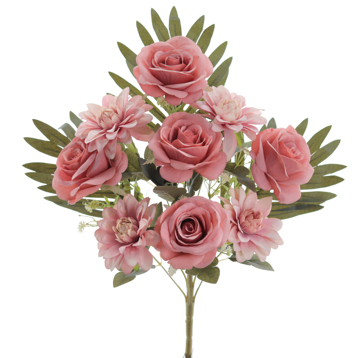 PALMA ROSAS DAHLIAS x 9 CORAL