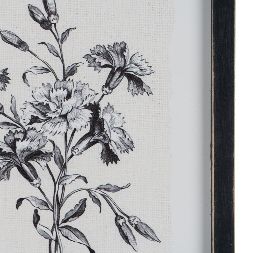 CUADRO IMPRESIÃ Â N FLOR CLAVEL NEGRO-BLANCO 24,00 4