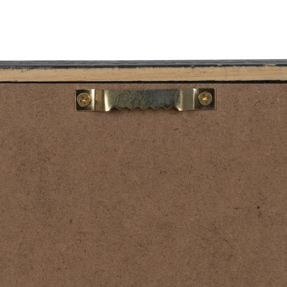 CUADRO IMPRESIÓN FLOR CLAVEL NEGRO-BLANCO 24,00 X 7