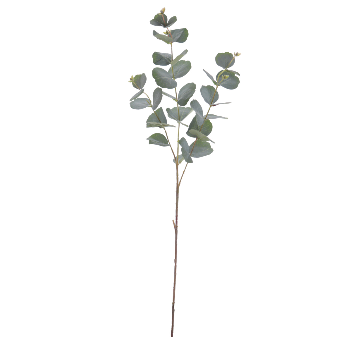 EUCALYPTUS 78CM VERDE