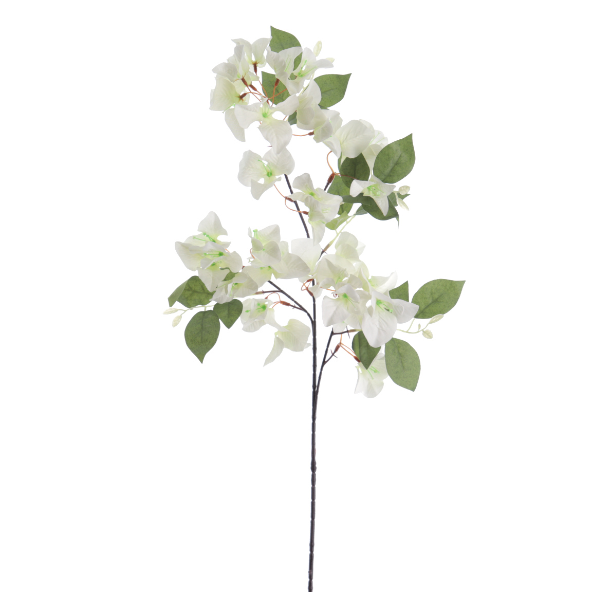 BOUGANVILLEA 78CM BLANCO