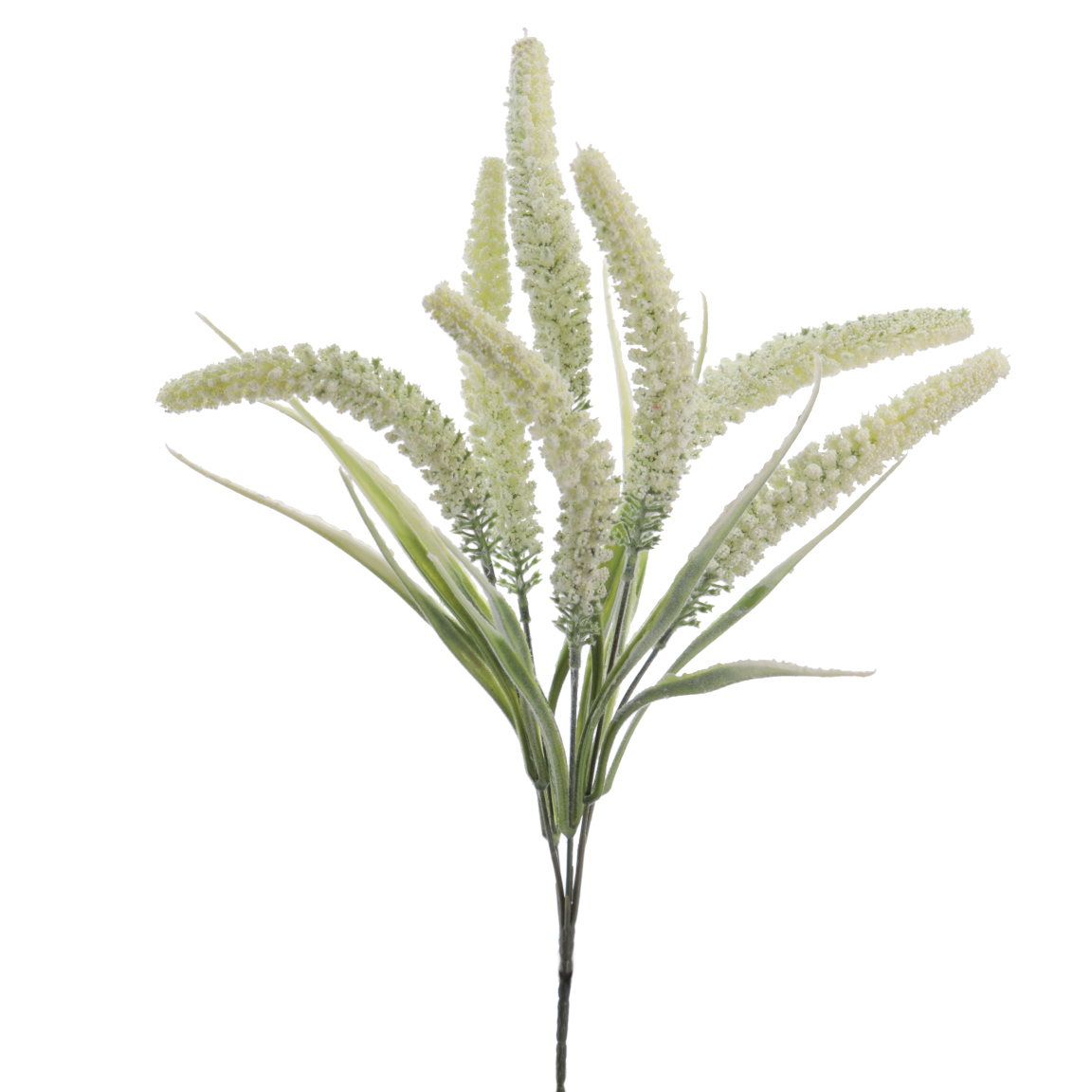 TRITICUM 45CM CREMA