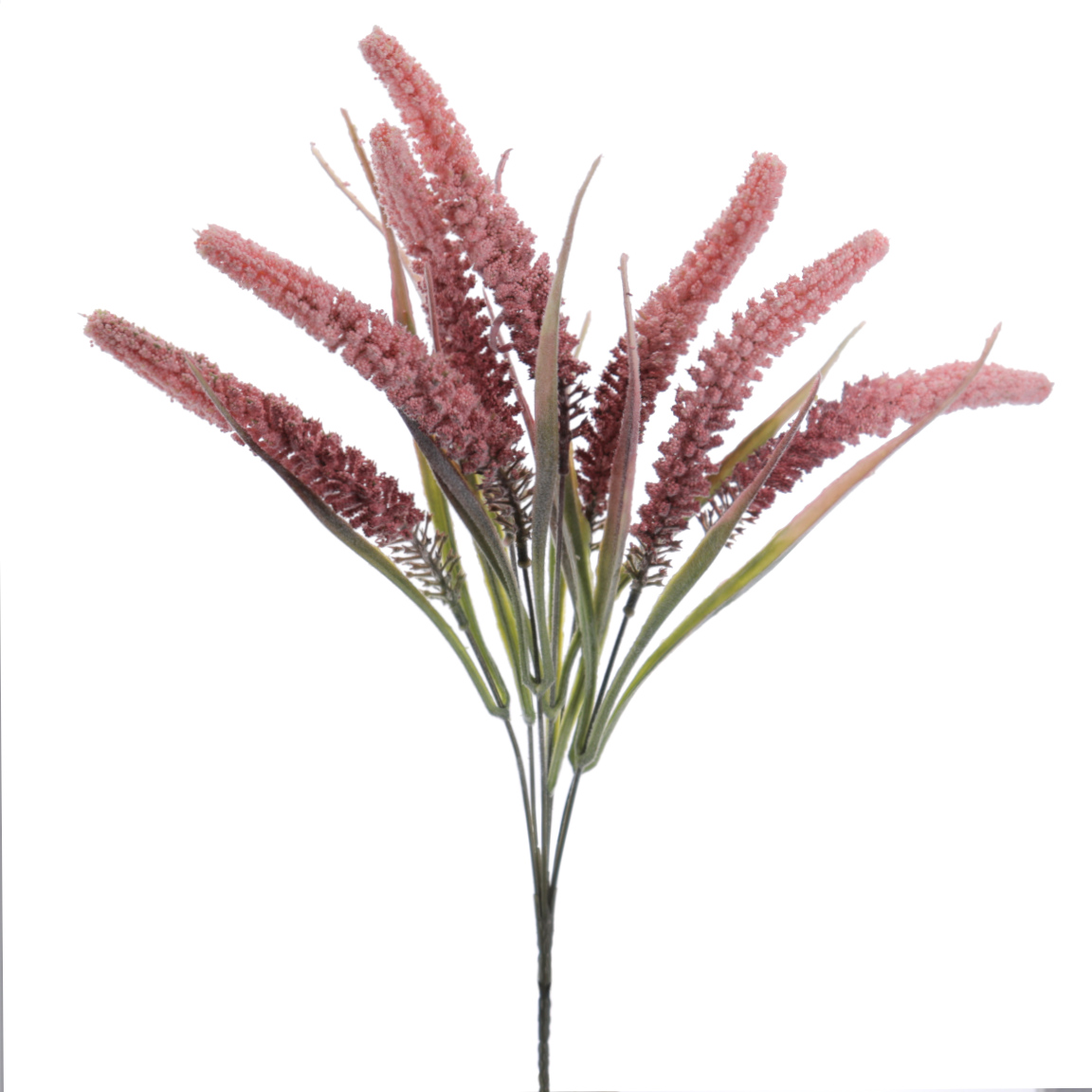 TRITICUM 45CM ROSA