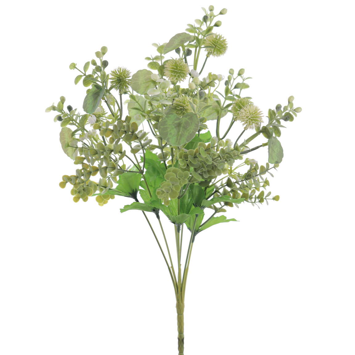 RAMO MIX ECHINOPS CREMA