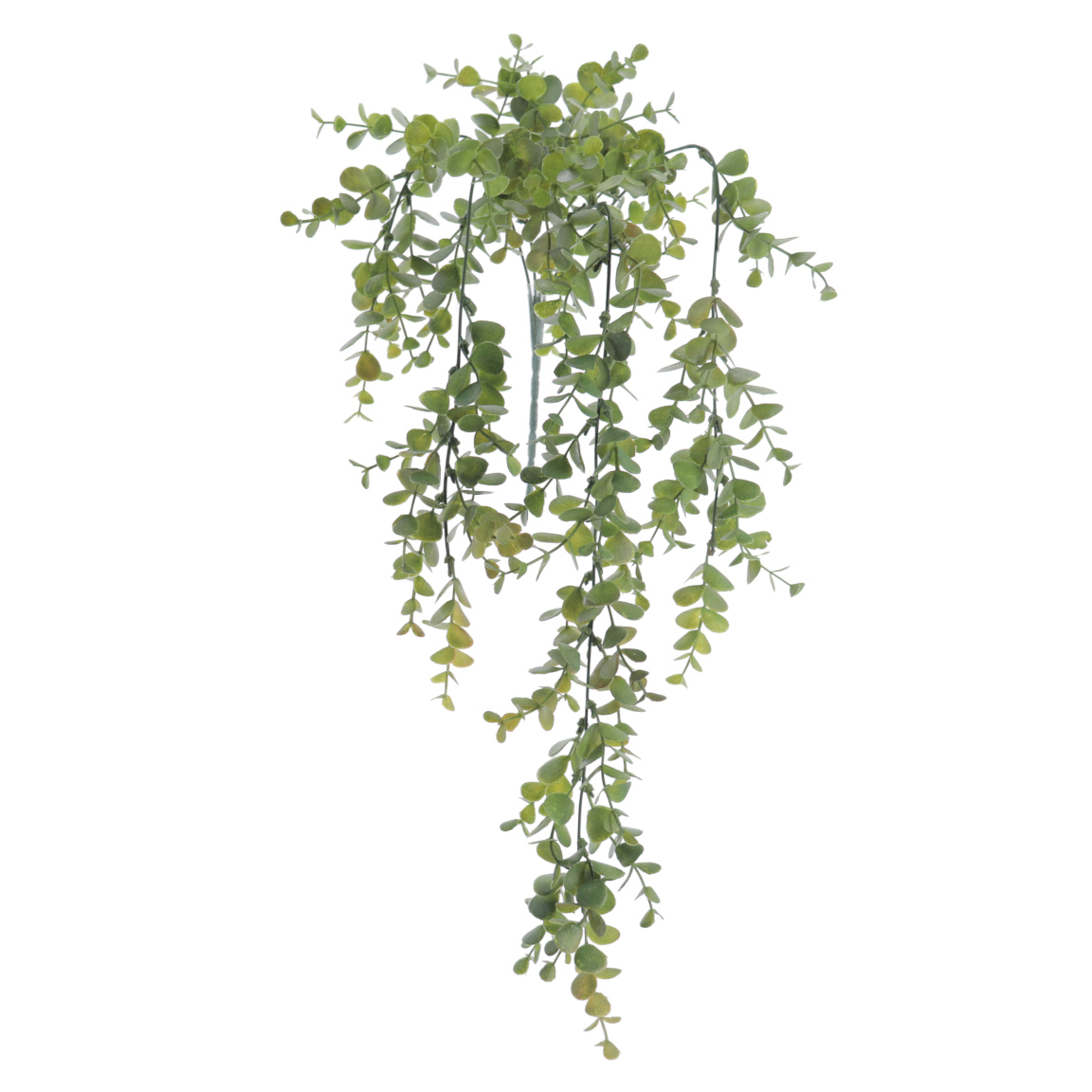 COLGANTE EUCALYPTUS 74CM VERDE