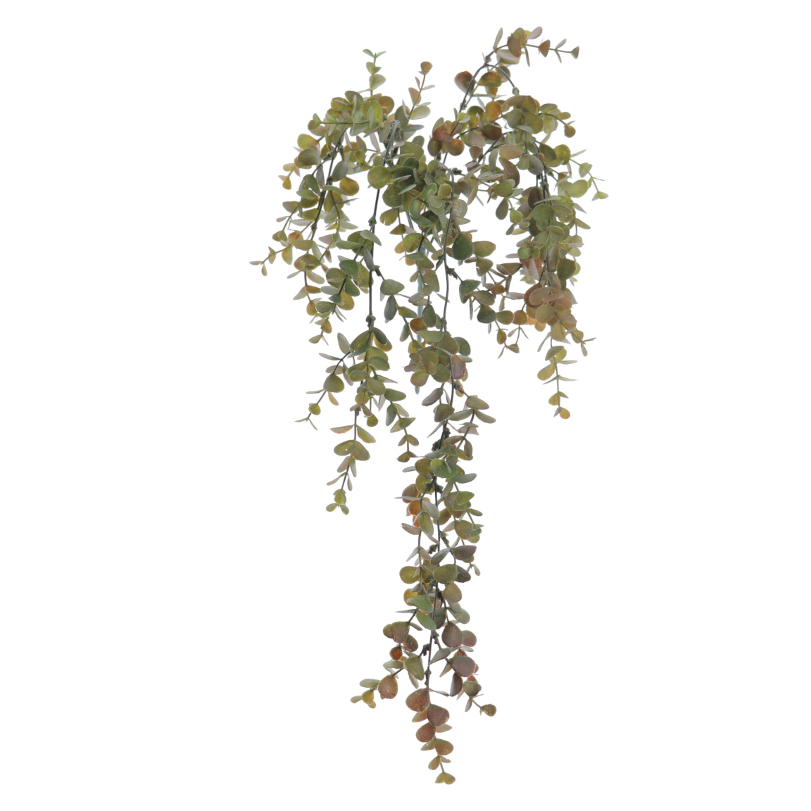 COLGANTE EUCALYPTUS 74CM ROJO VERDE