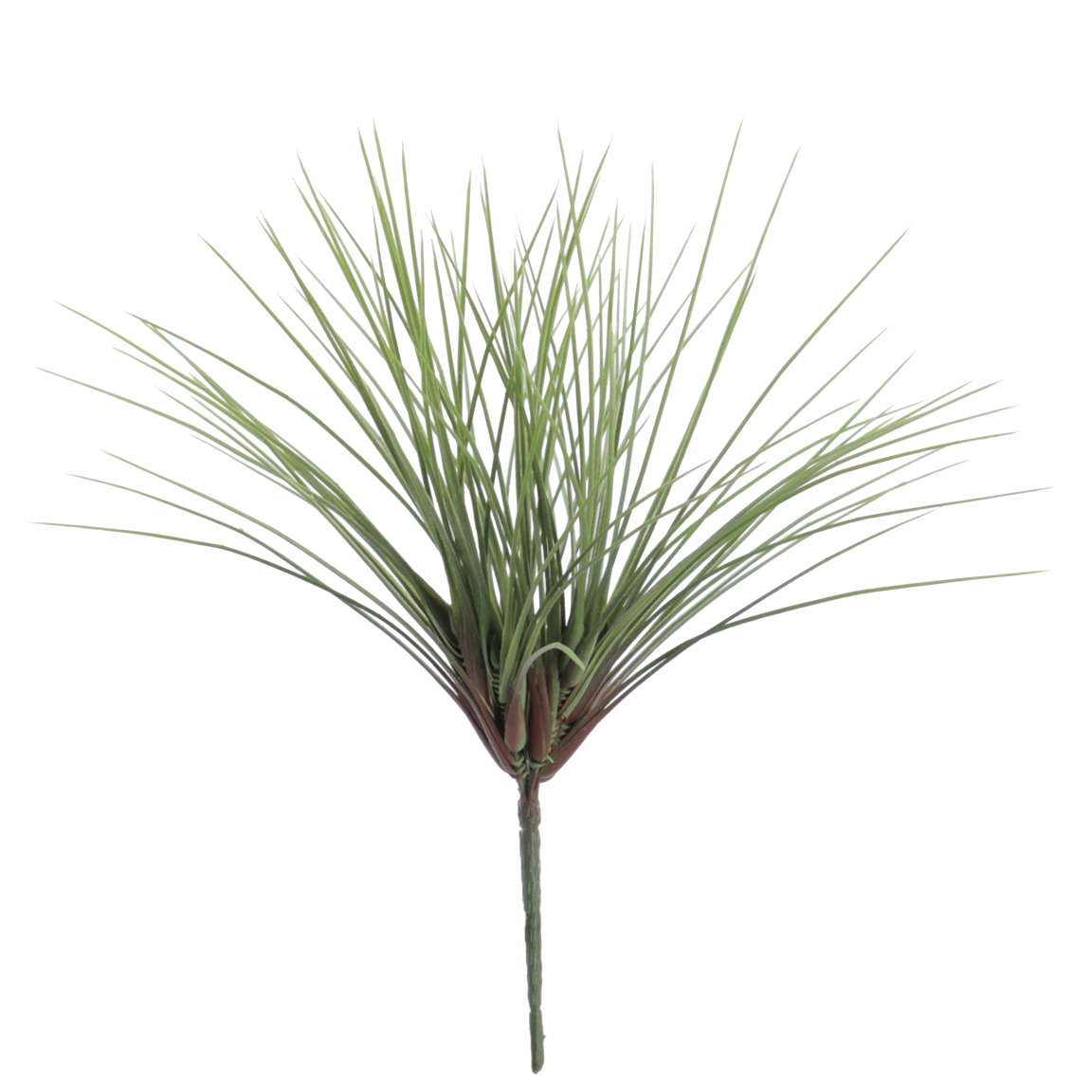 CYPERUS 36CM VERDE