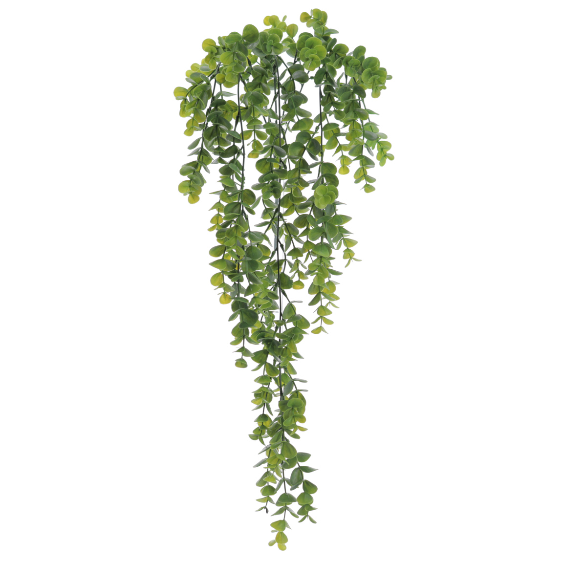 COLGANTE EUCALYPTUS 72 CMS VERDE