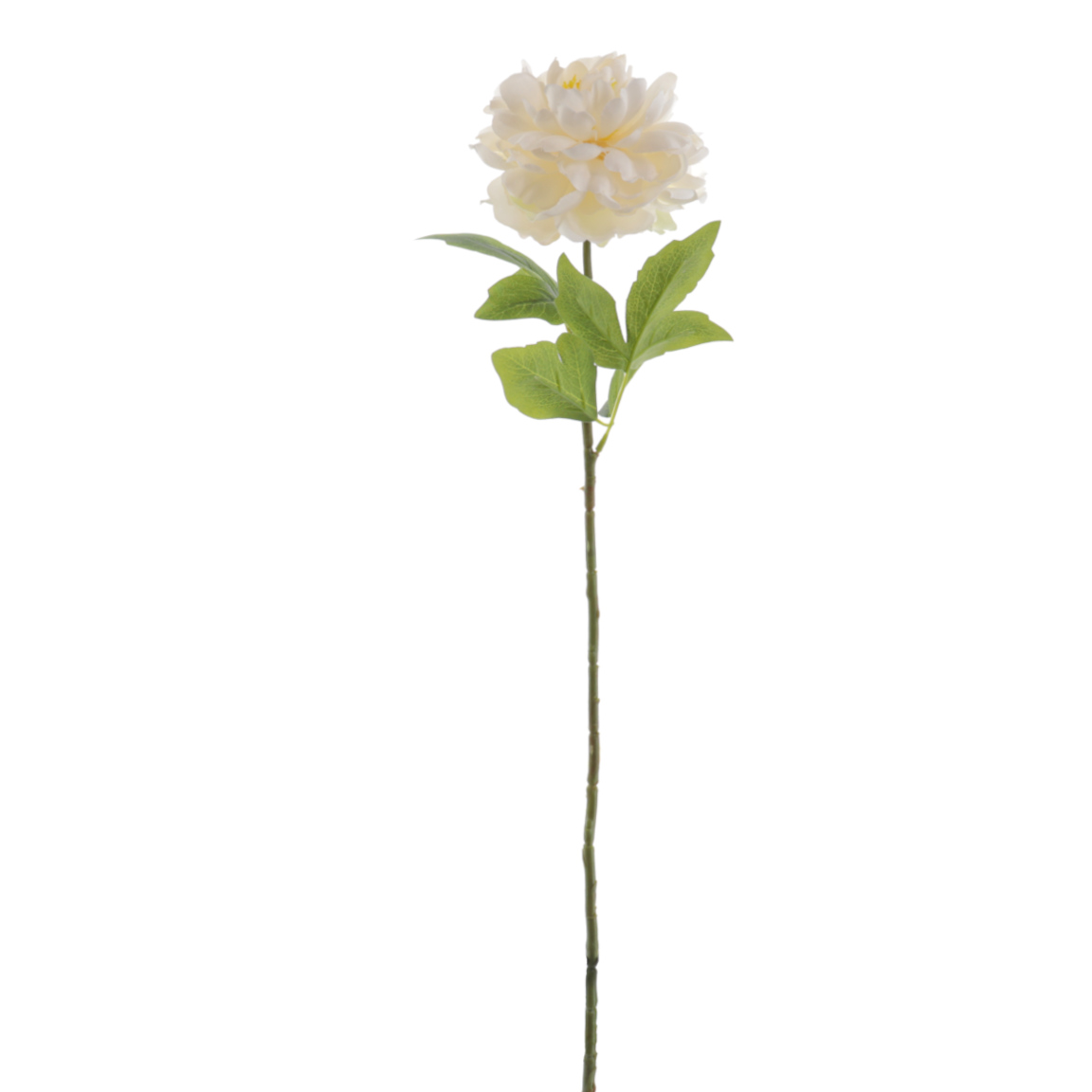 PEONIA ALICE 68CM CREMA