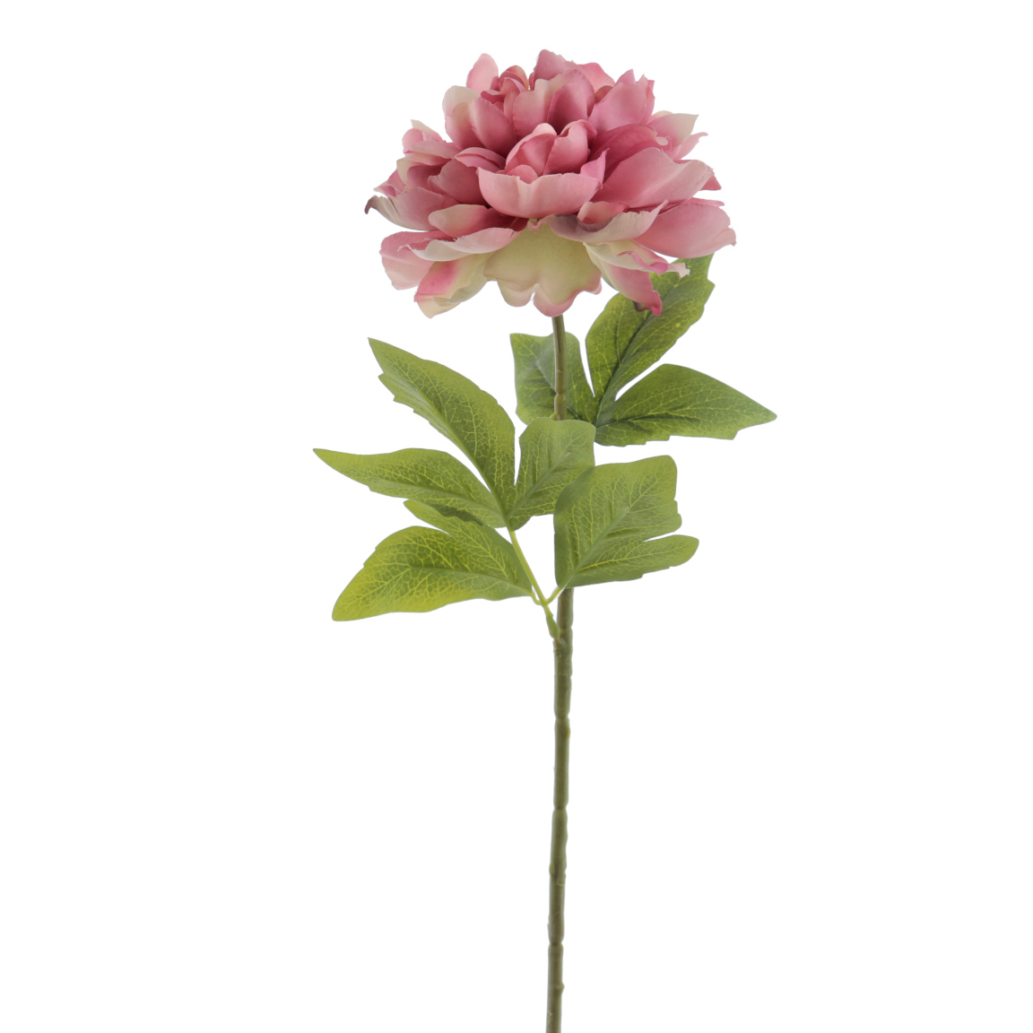 PEONIA "ALICE" FUCSIA 66CM