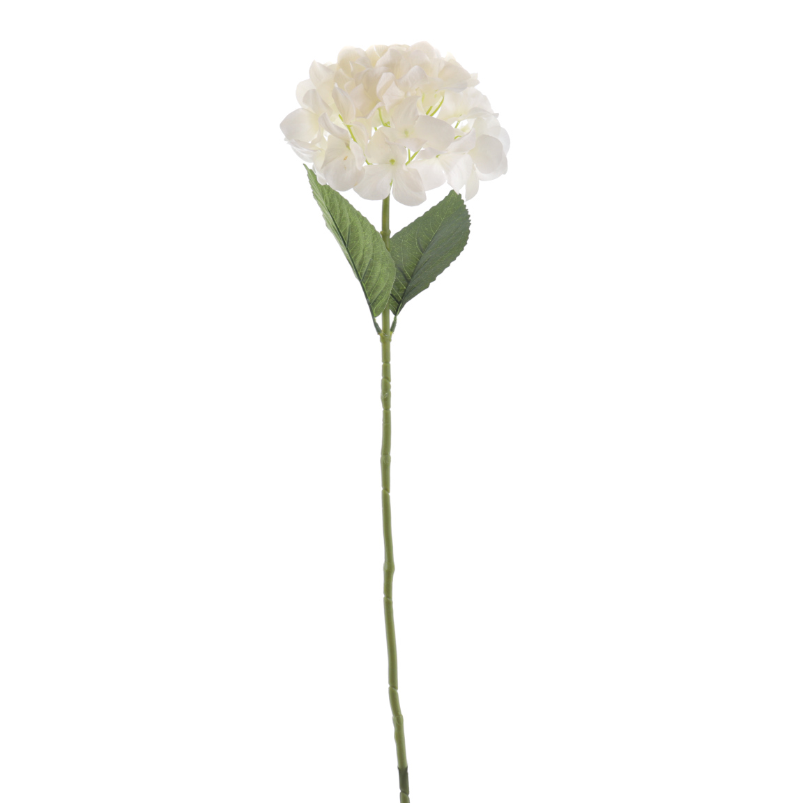 HORTENSIA 66CM CREMA