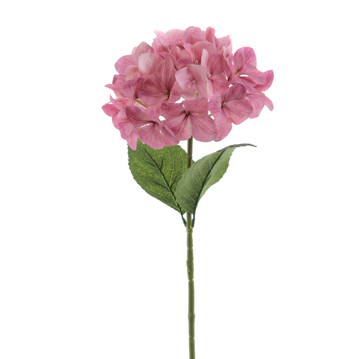 HORTENSIA 66CM MALVA