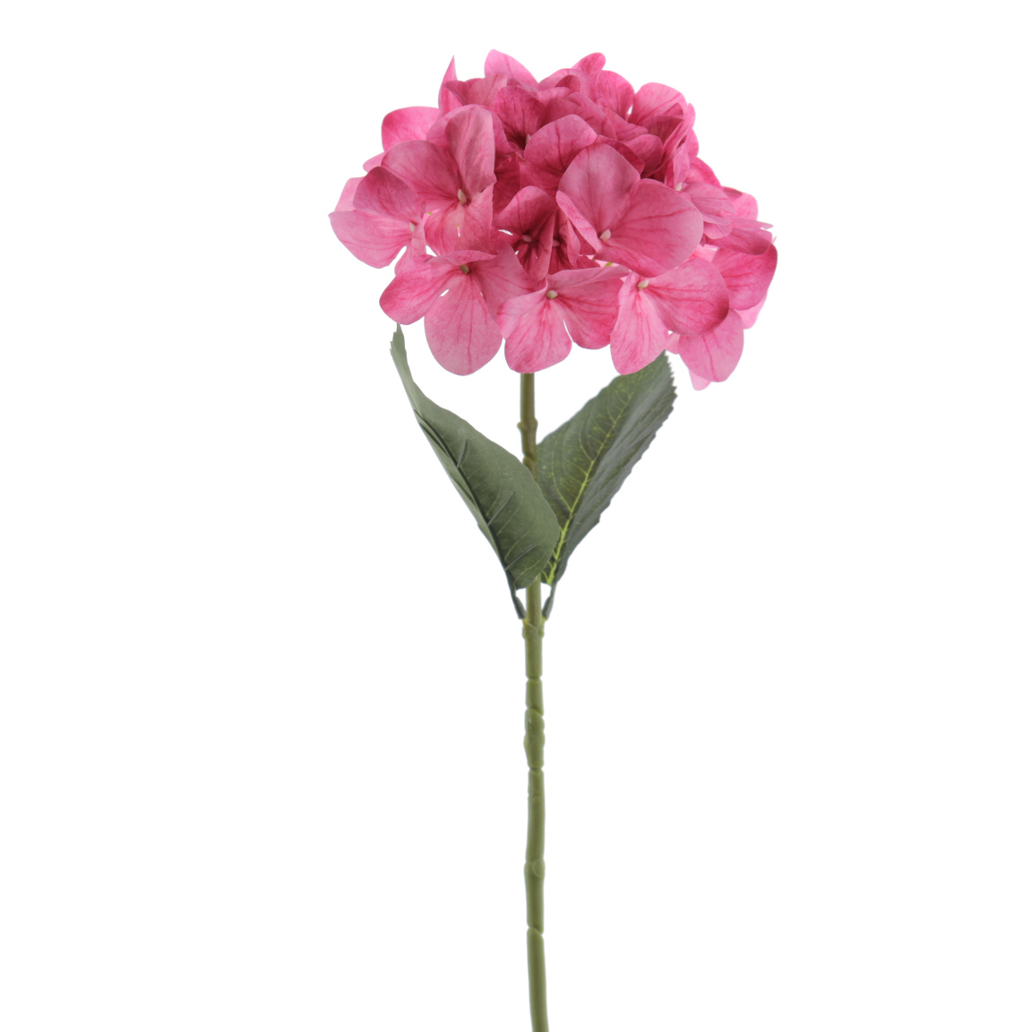 HORTENSIA 66CM FUCSIA