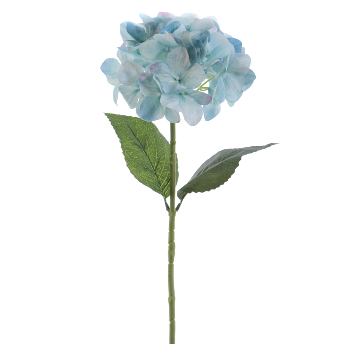 HORTENSIA 66CM AZUL