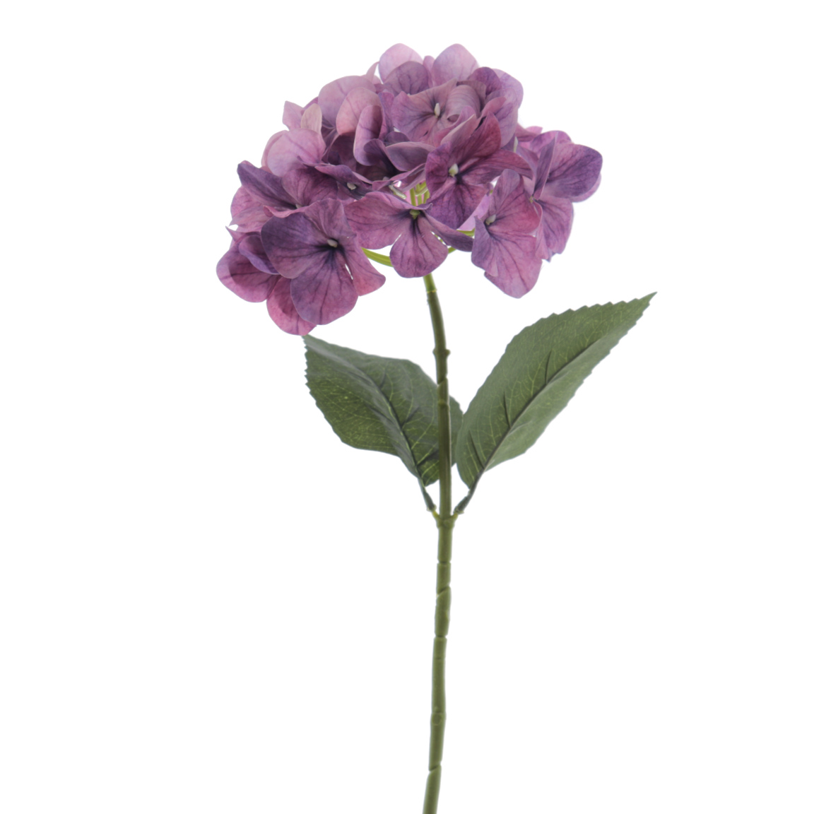 HORTENSIA 66CM PURPURA