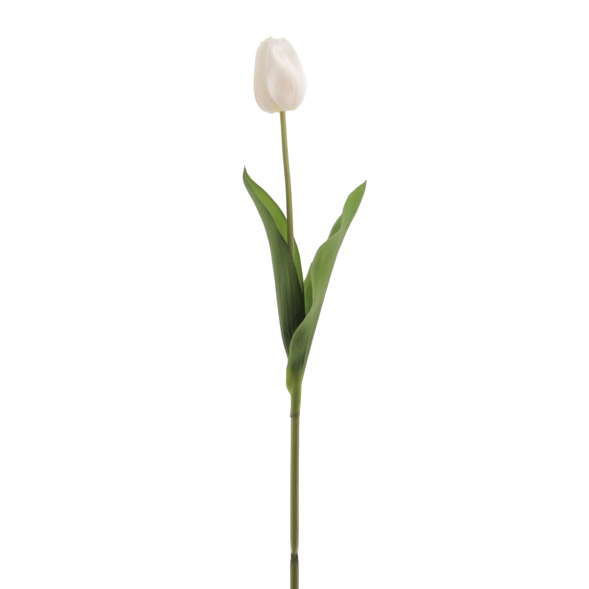 TULIPAN REACH TOUCH CREMA