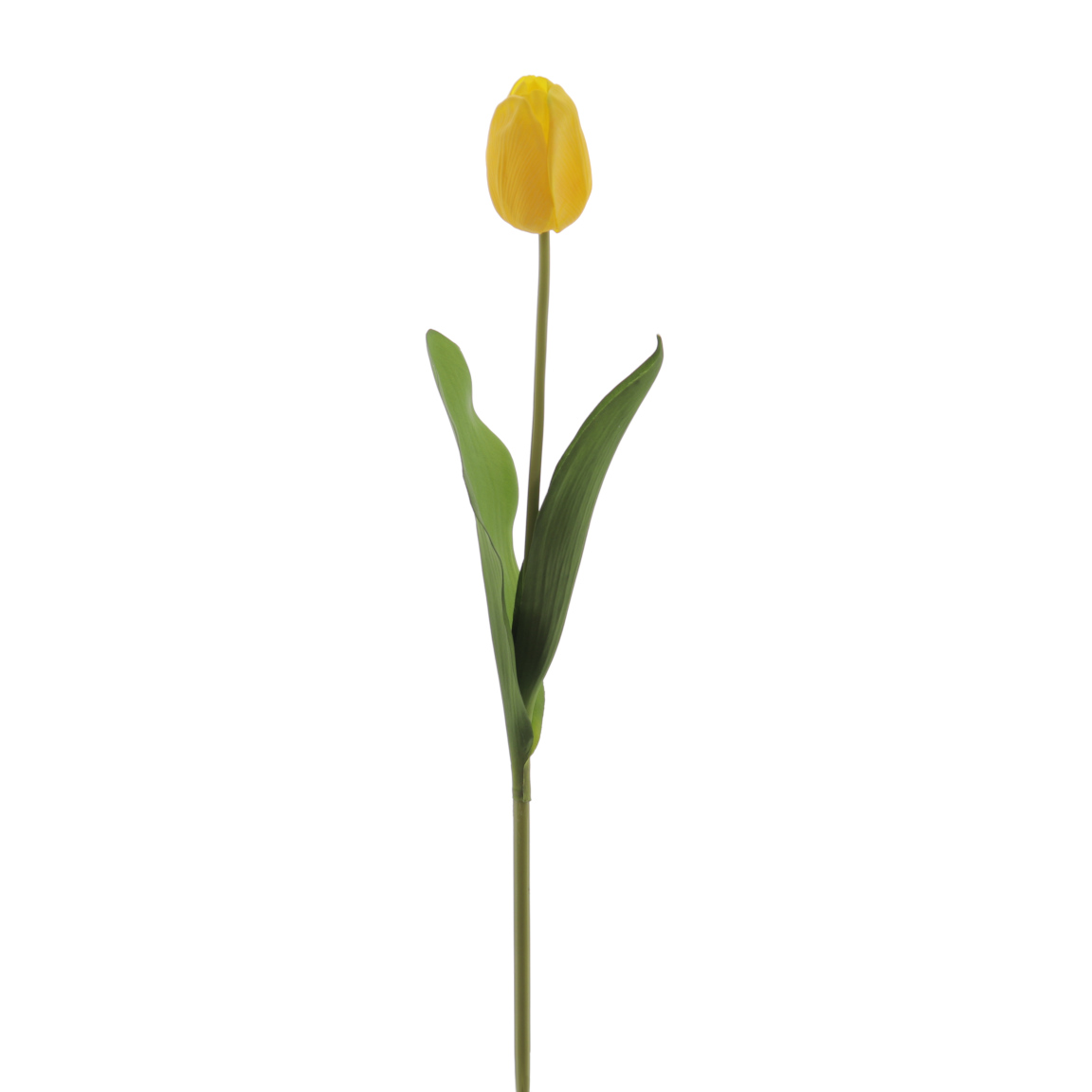 TULIPAN REACH TOUCH AMARILLO