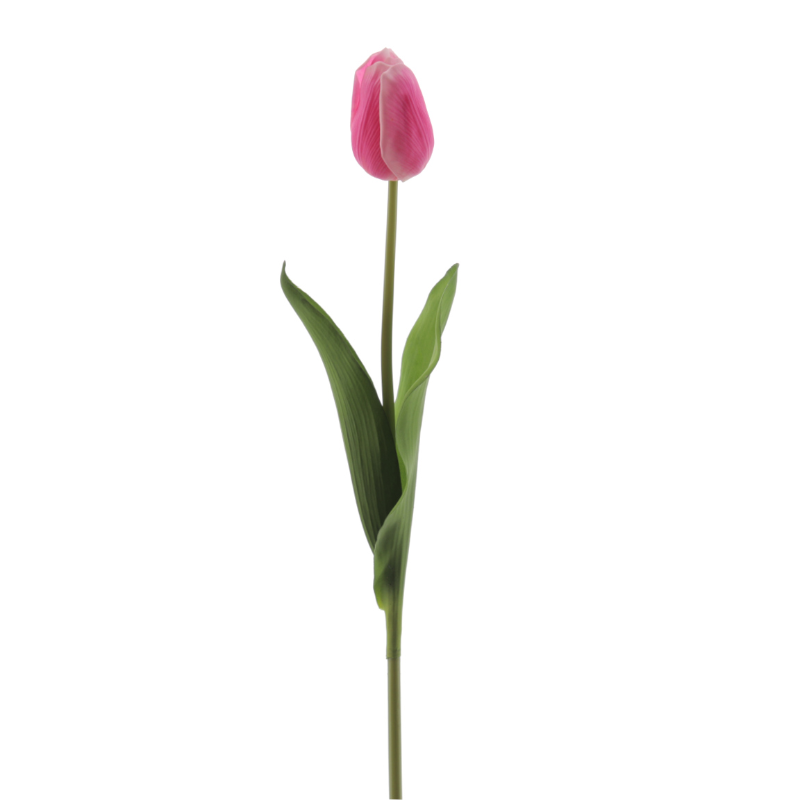 TULIPAN REACH TOUCH FUCSIA