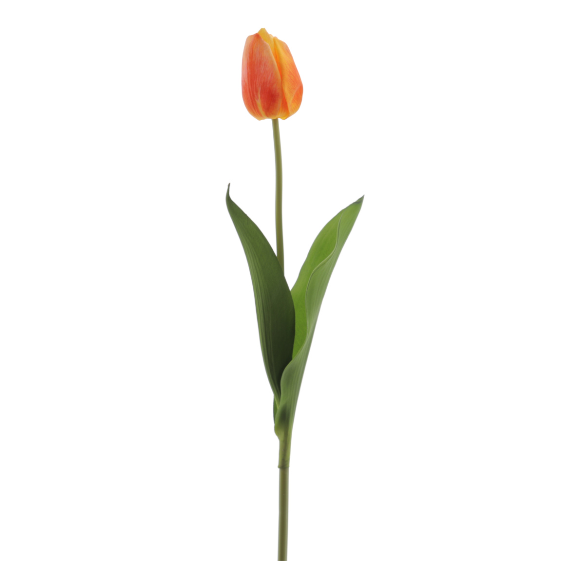TULIPAN REACH TOUCH NARANJA