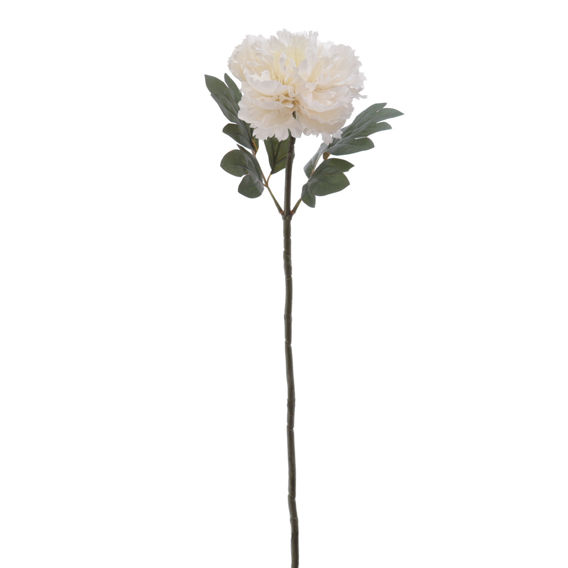 PEONIA CREMA 60CM