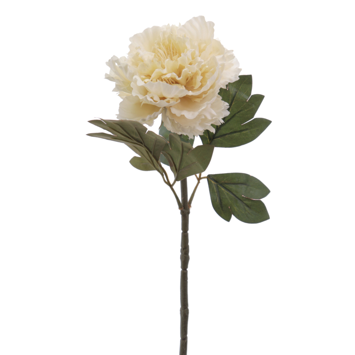 PEONIA BEIGE 60CM