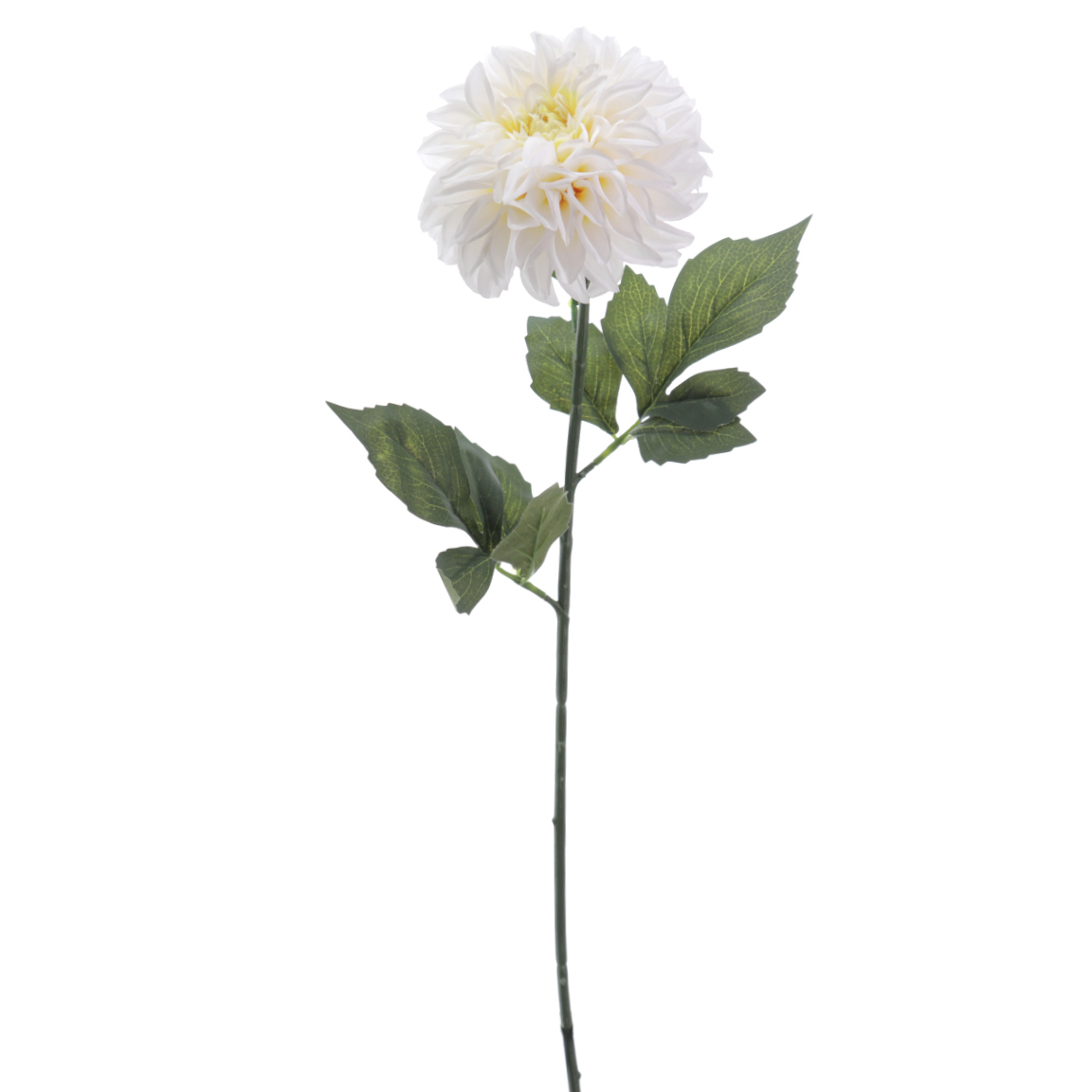 DAHLIA CREMA 57CM