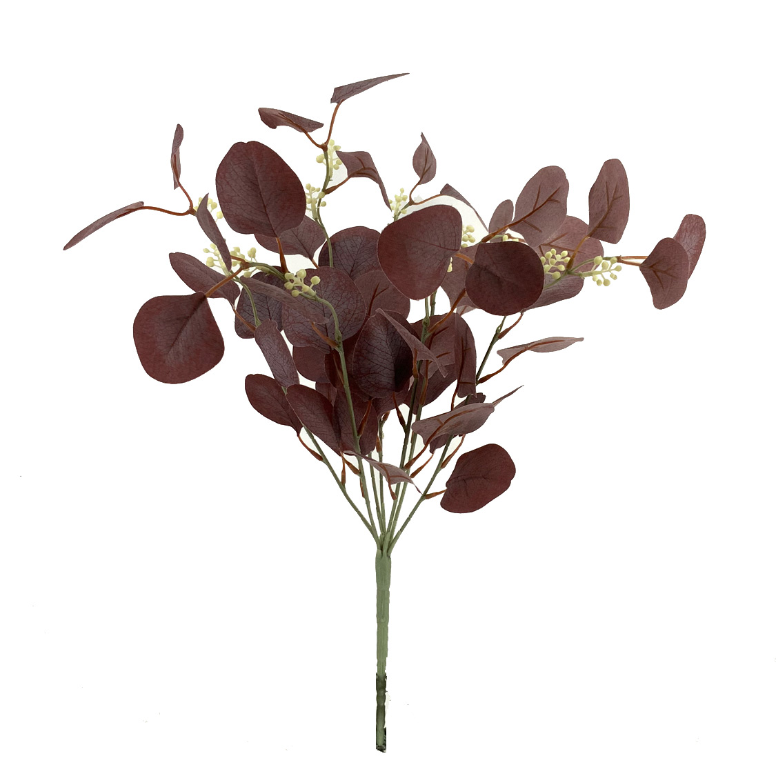 RAMO EUCALYPTUS BURDEO