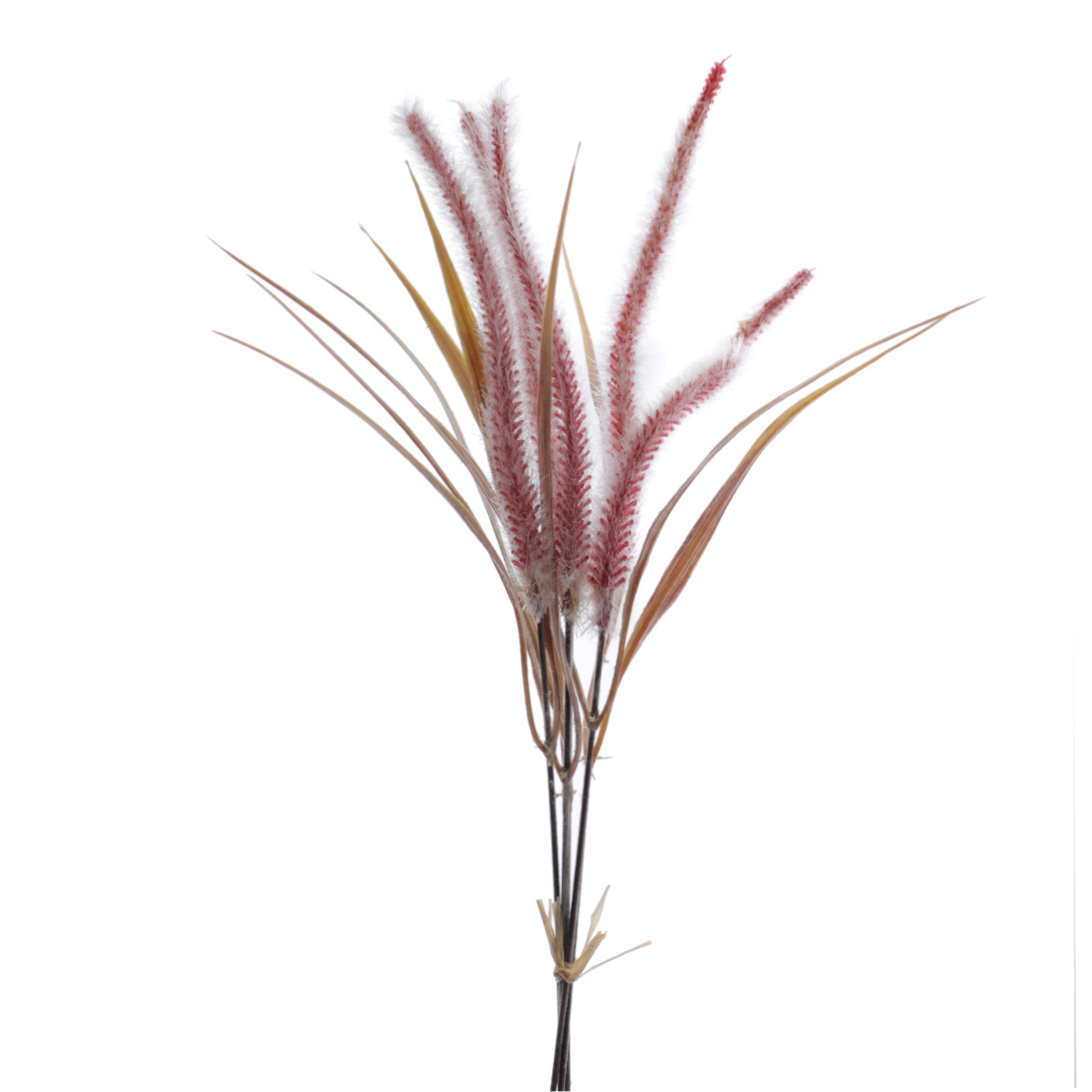 ATADO SERICURA FUCSIA