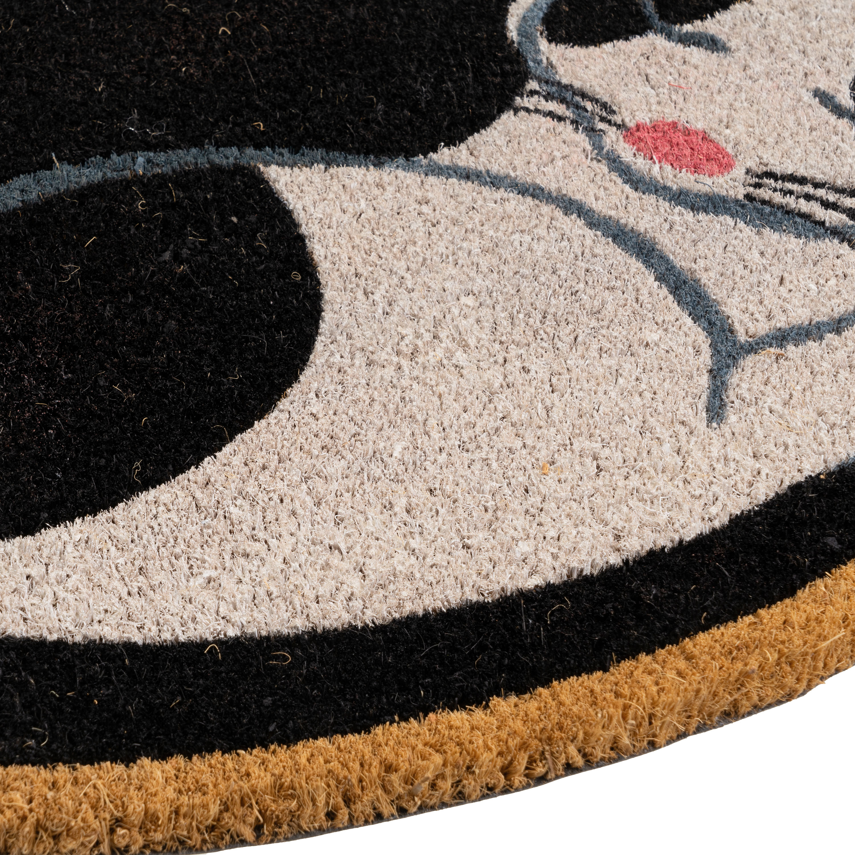 FELPUDO CAT FIBRA DE COCO 60 X 40 X 1,50 CM 2
