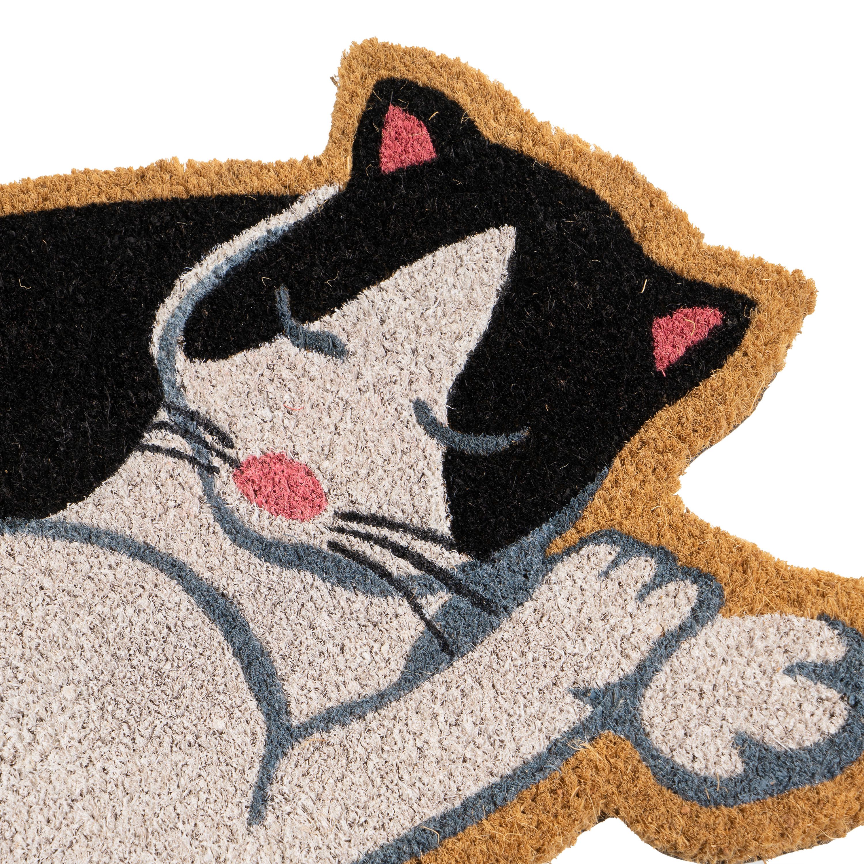 FELPUDO CAT FIBRA DE COCO 60 X 40 X 1,50 CM 3