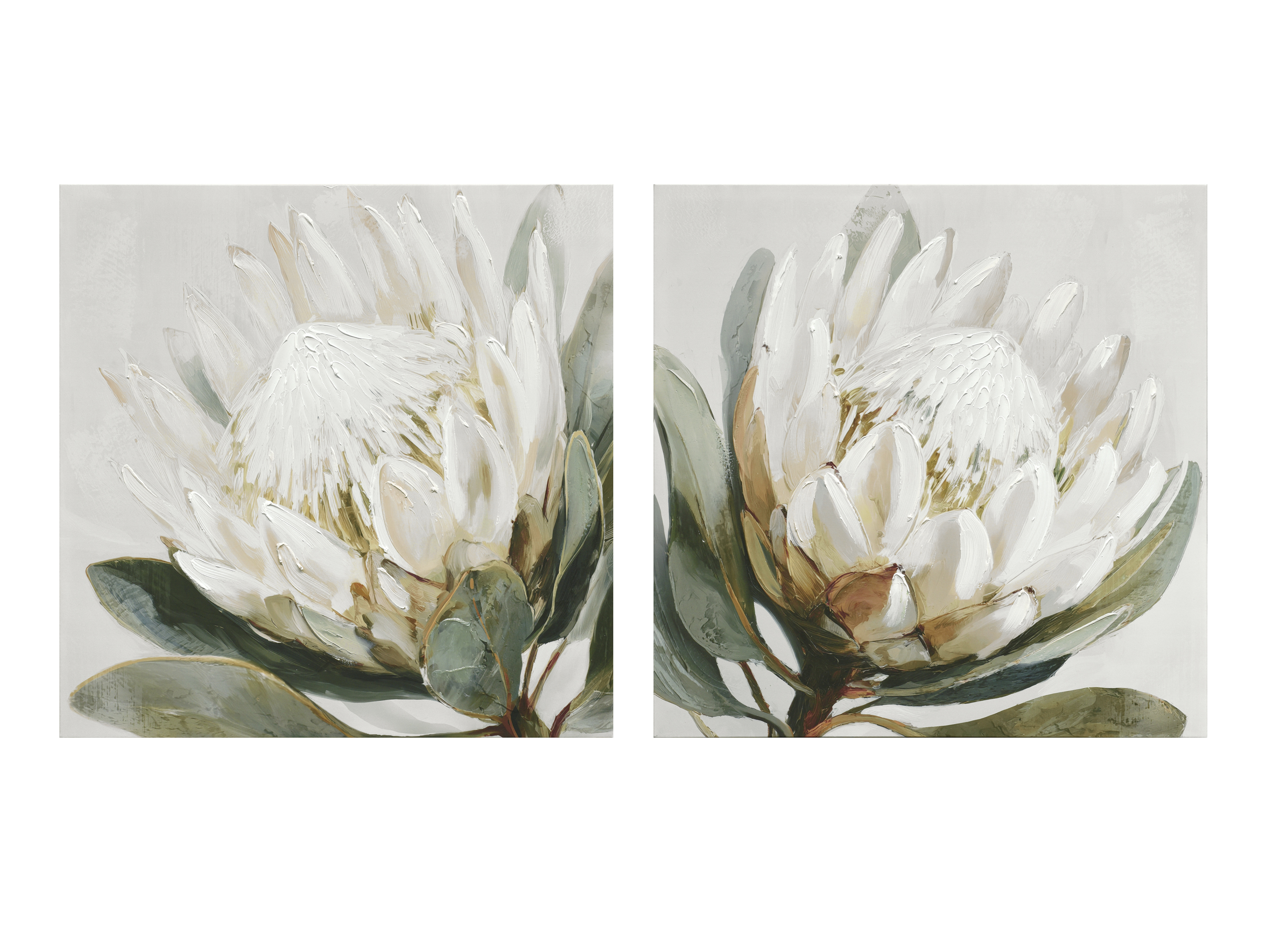 LIENZO IMPR. FLOR BLANCA 50% OLEO 70X70 CMS DRCH