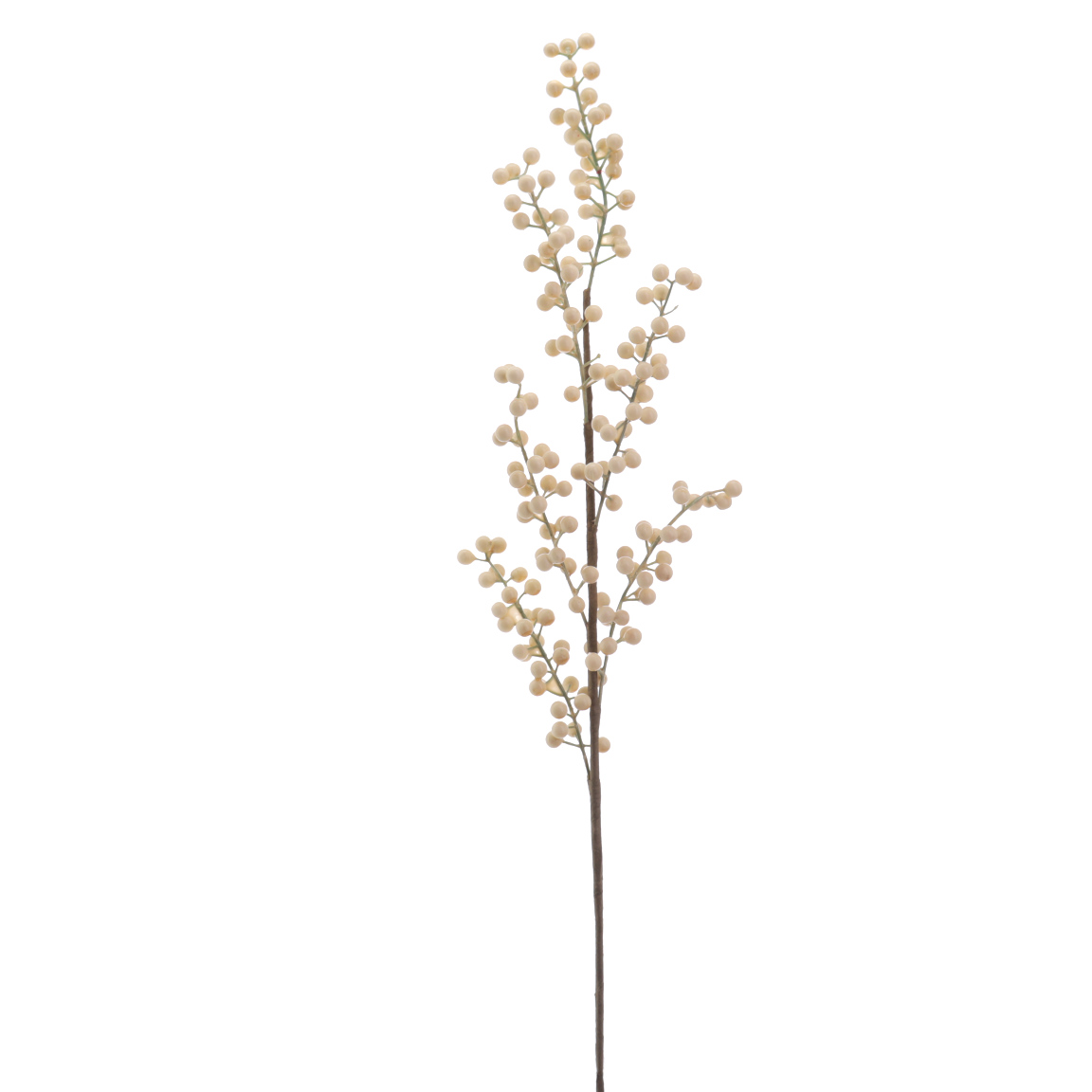 BERRY 65CM BEIGE